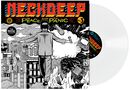 The peace and the panic, Neck Deep, LP