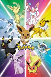 Eevee Evolution, Pokémon, Poster