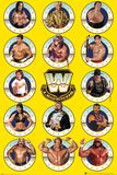 Legends Chrome, WWE, Poster