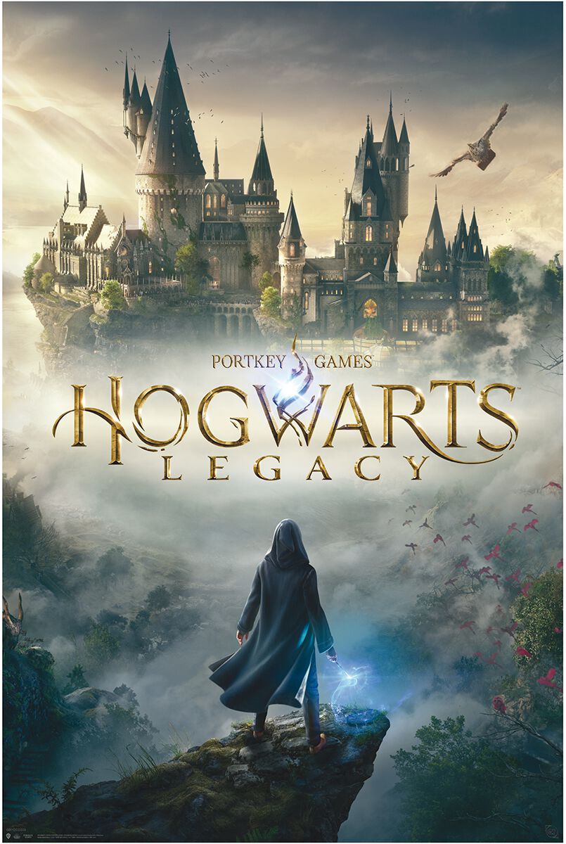 Hogwarts Legacy, Harry Potter Poster