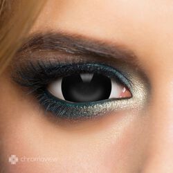 Chromaview Mini Sclera Black Daily Disposable Contact Lenses, Chromaview, Fashion Contact Lens