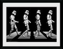 Stormtrooper Crossing