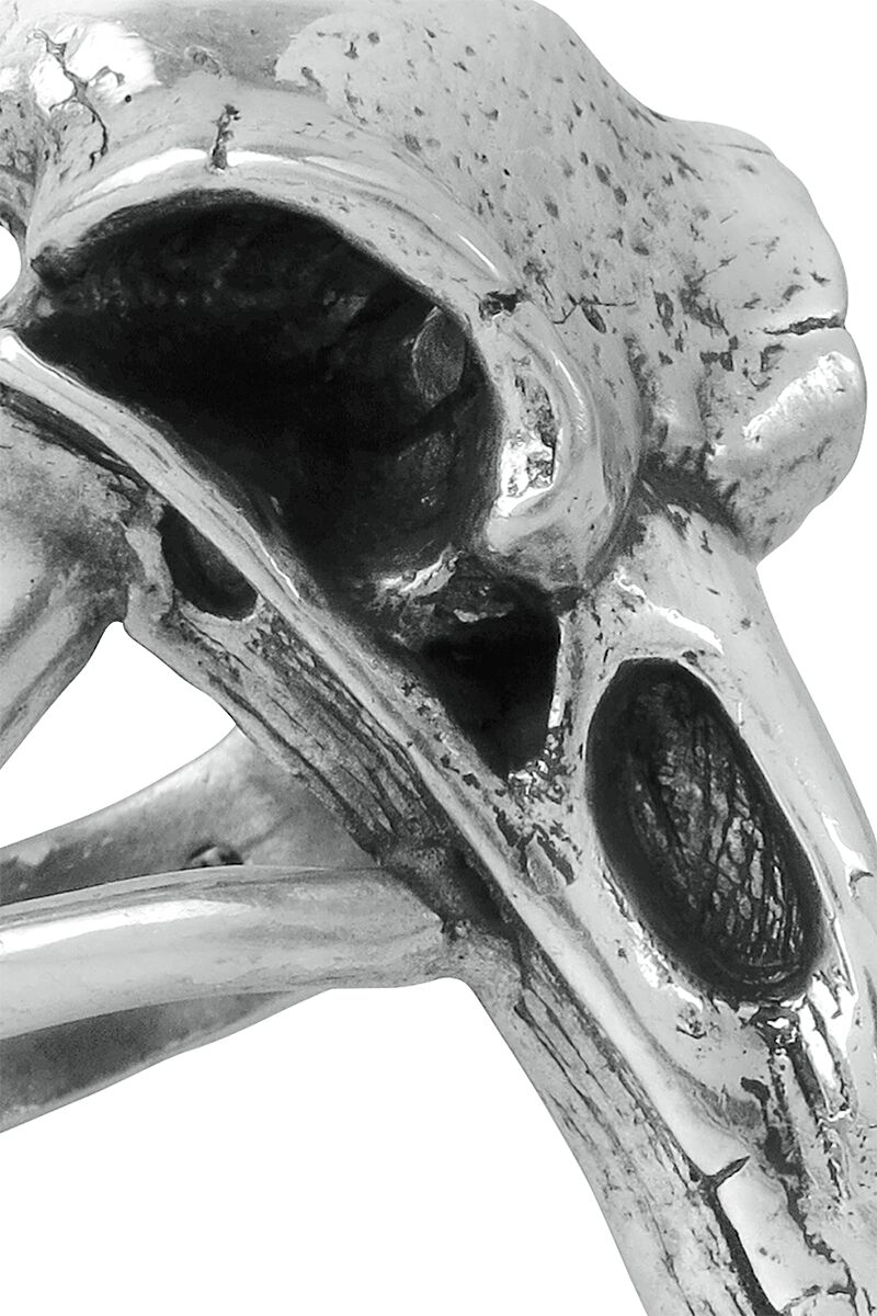 Raven Skull | Alchemy Gothic Ring | EMP