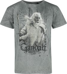 Gandalf, The Lord Of The Rings, T-Shirt