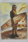 Chewbacca - Beach