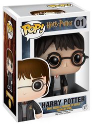 Harry Potter Vinyl Figure 01