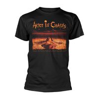 Alice in Chains Announce New Album, 'Rainier Fog Alice in Chains Announce New Album, 'Rainier Fog