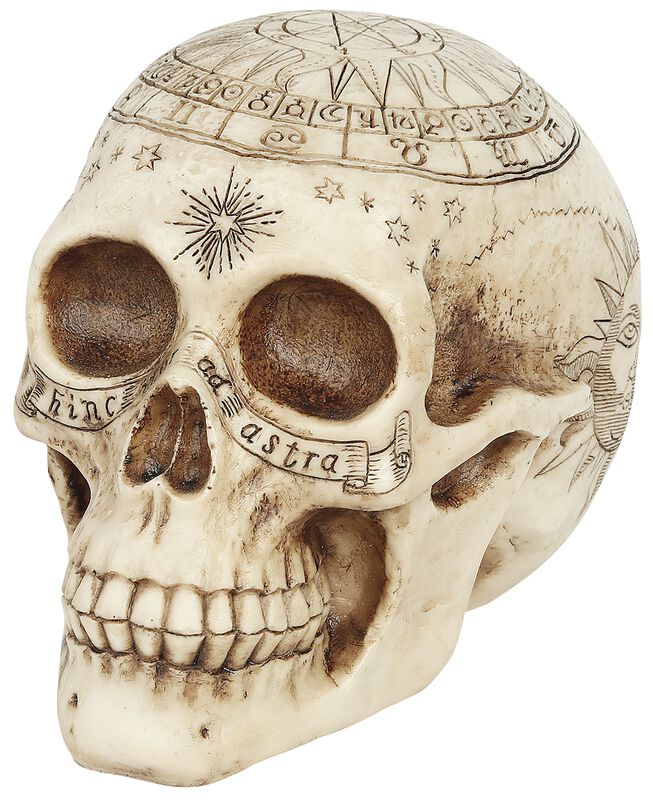 Astrological Skull