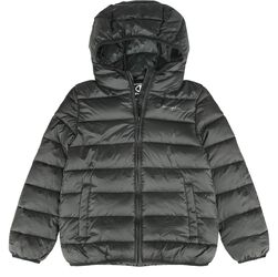 Legacy PU-coated ripstop jacket, Champion, Jacket
