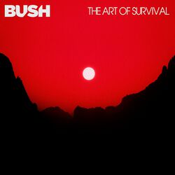 The art of survival, Bush, CD