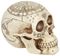 Astrological Skull