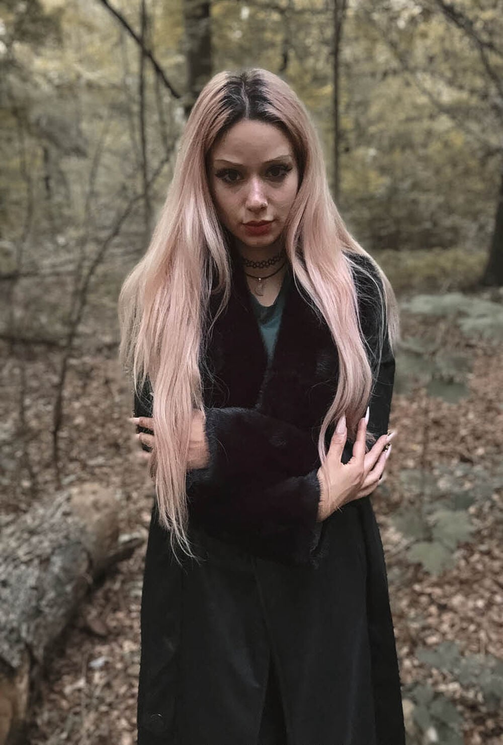 @almost_feline