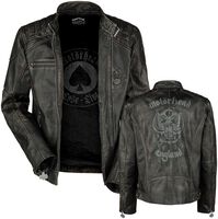 Motörhead Hammersmith Short Sharp Pain Uomo T-Shirt Cachi Motörhead Hammersmith Short Sharp Pain Uomo T-Shirt Cachi