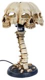 Electric Table Lamp Skull on Spine, Electric Table Lamp, Lamp