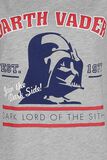 Darth Vader - Dark Lord