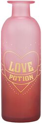 Love Potion  - Flower vase, Harry Potter, Decoration Articles