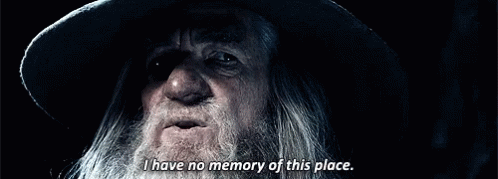 Gandalf I Have No Memory Of This Place GIF - Gandalf I Have No Memory Of This Place Idk - Discover &amp; Share GIFs